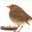 An image of My Naturewatch Wildlife Camera An image of My Naturewatch Wildlife Camera