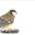 An image of My Naturewatch Wildlife Camera An image of My Naturewatch Wildlife Camera