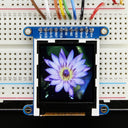 An image of Adafruit 1.44
