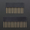An image of Feather Stacking Headers - 12-pin and 16-pin female headers