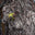 An image of 64MP Autofocus Camera for Raspberry Pi An image of 64MP Autofocus Camera for Raspberry Pi