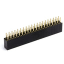 An image of Raspberry Pi GPIO Booster Header