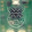 An image of Raspberry Pi Debug Probe An image of Raspberry Pi Debug Probe