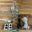 An image of Wireless Plasma Kit (Pico W Aboard) An image of Wireless Plasma Kit (Pico W Aboard)