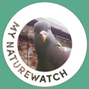 An image of My Naturewatch Wildlife Camera