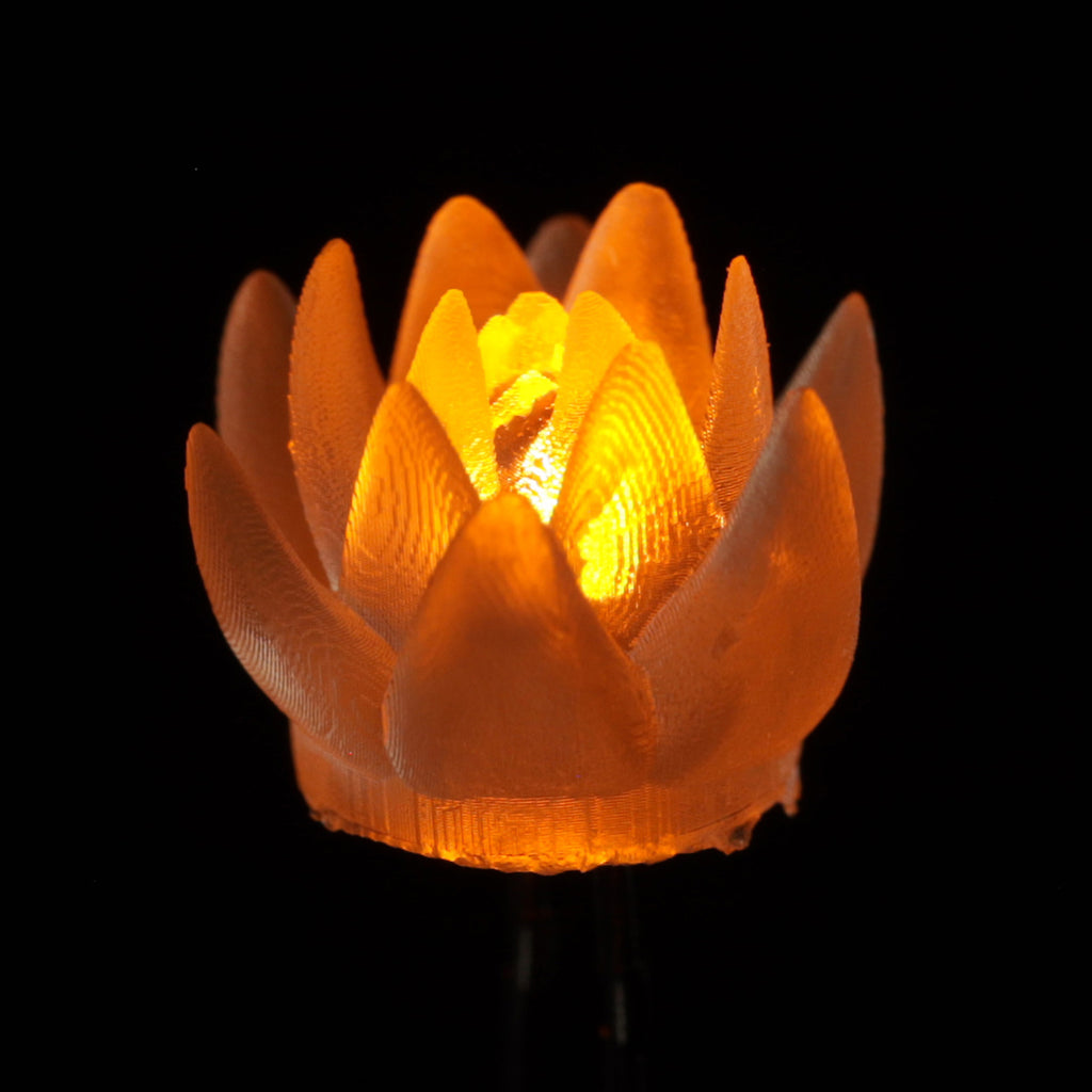 dLUX-dLITE LEDs - Why settle for ordinary LEDs?