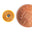 An image of NFC data tags (pack of 5) An image of NFC data tags (pack of 5)