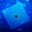 An image of The Cuttle An image of The Cuttle