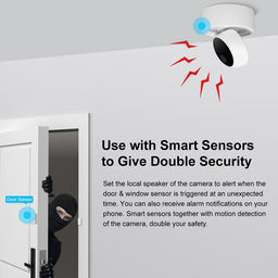 Sonoff 360° Wi-Fi & Ethernet Security Camera