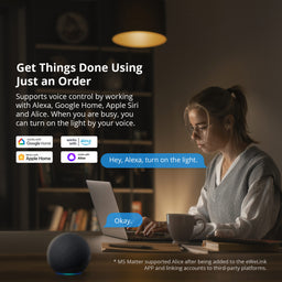 Sonoff Smart Wall Switch (M5 Matter)