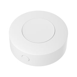 Sonoff Zigbee Wireless Switch
