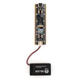 Pimoroni Pico LiPo 2 XL W