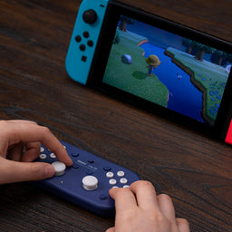 8BitDo Lite SE