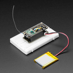 Adafruit LoRa Radio FeatherWing - RFM95W 900 MHz - RadioFruit