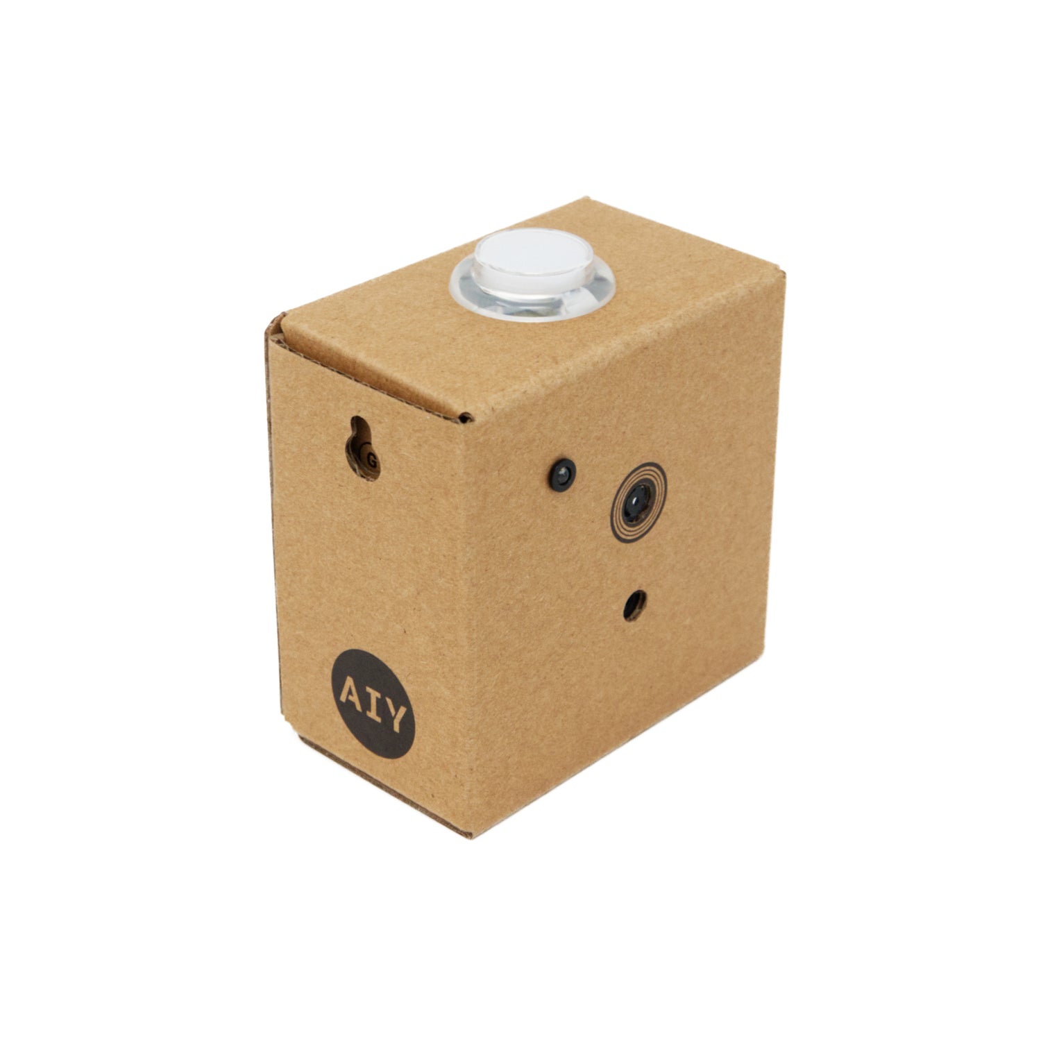 Aiy Custom Google AIY Vision Kit