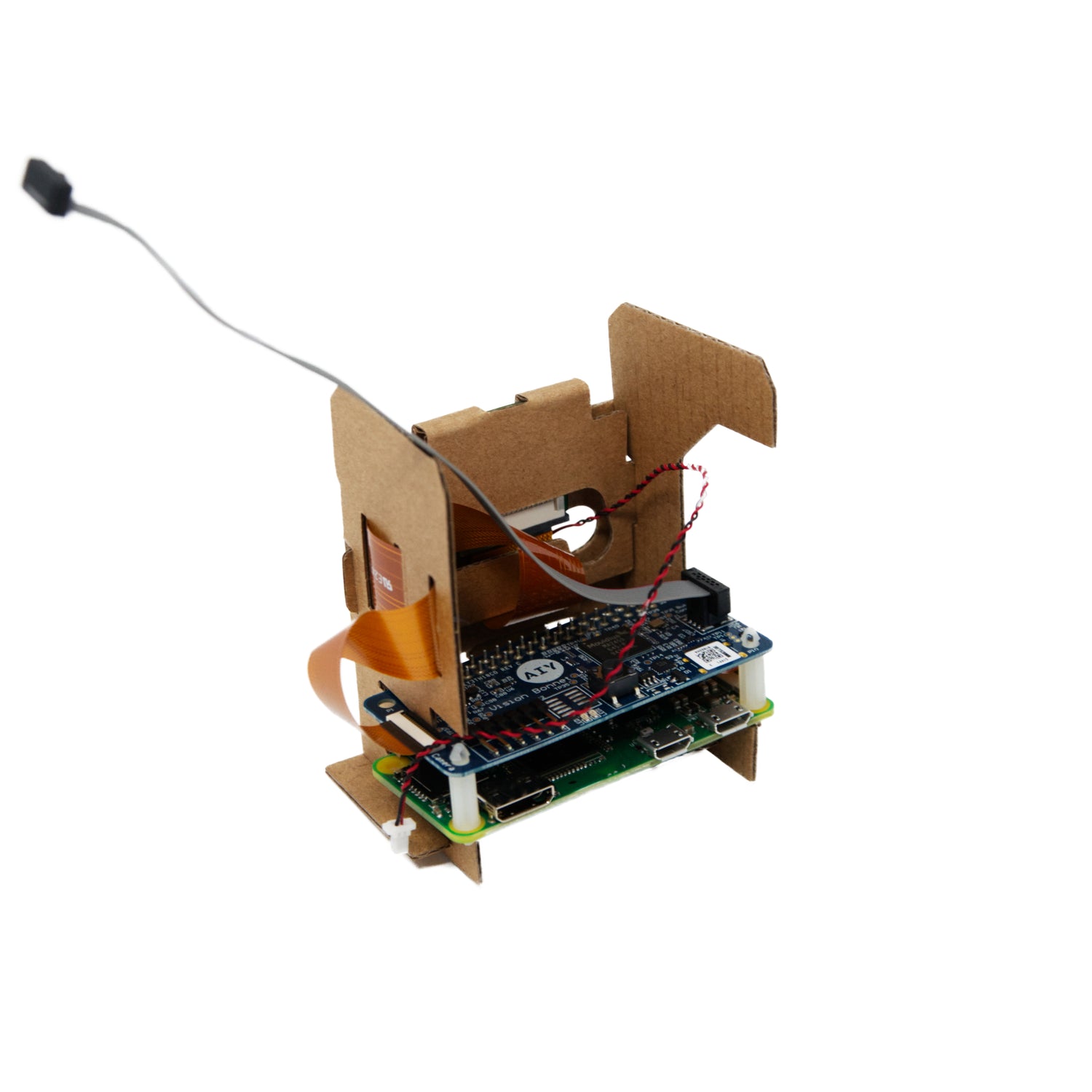 Aiy Custom Google AIY Vision Kit
