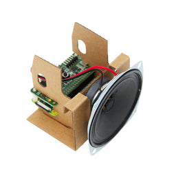Google AIY Voice Kit v2