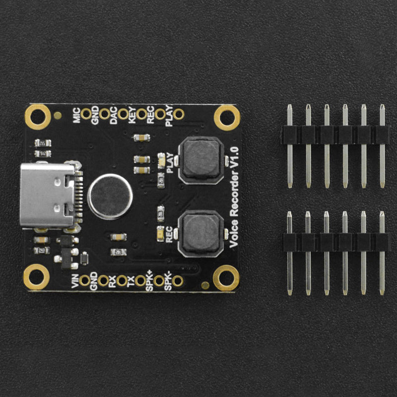 Fermion: Voice Recorder Module