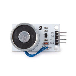 Electromagnet Module